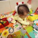 수아월드 이미지