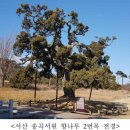 송곡1 이미지