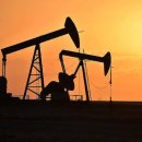 (주)뉴타운에너지 이미지