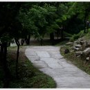 와룡자연휴양림 이미지