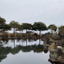 평화로 R | [제주도] 제주 여행 중 들른 특별한 스타벅스, 더제주송당파크R점과 금악DT점 방문후기