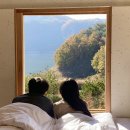 지산우드텍(주)(4종) | 안동 지례예술촌 8번방(2박 3일): 힐링 그 자체 안동 한옥스테이 후기