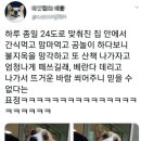 너와의 산책 이미지