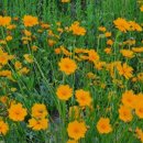 유월부동산중개 이미지