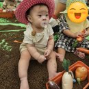 나무와 친해지기 | 롯데백화점 문화센터 동탄 소풍가는하마 가을학기 8개월 아기 1~4회차 후기