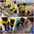 아가숲어린이집 이미지