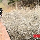 미선축산 이미지