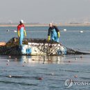 낙동환경개발 이미지