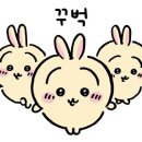 마라입구 이미지