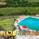 수수국수 이미지