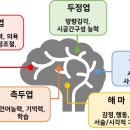 영등포구치매안심센터 이미지