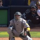 펫코랜드 이미지