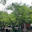 D18 | 서울근교 캠핑장 문수골 힐링캠핑장(D18 후기)