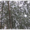 남해우리집 이미지