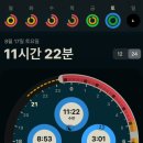빅영 네이버블로그