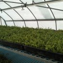 태안목장 이미지