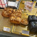 공약국 | [자체블챌] 26년 1월 3주차