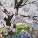 합천농협봉산지점 이미지