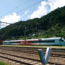 [테마여행2025월 12월 25일 목요일] 산타마을 크리스마스 눈꽃 축재 백두대간 협곡열차 V-Train+체르마트길 트레킹 안내 이미지