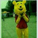 알바 이미지