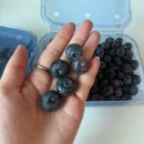 명우농장 이미지