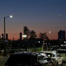 정이품쭈꾸미 지축직영점