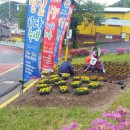 남해 금빛 이미지