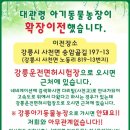 대관령 아기동물농장 이미지