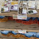 (주)우진시스템 | 20대 여자 혼자 겨울 한라산 설산 등반 도전기│등산 준비물, 게스트하우스 추천, 등산 예약 방법