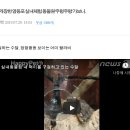 [르포]논란 속에 개장한 영등포 실내체험 동물원 '주렁주렁' 가보니.. 이미지