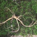 천종농장 이미지