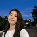 샌디플 이미지