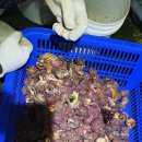 바위솔펜션 이미지