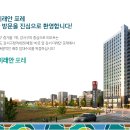 미래안 Daum카페