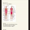 준핏 네이버블로그