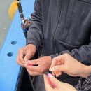 서울낚시 - 동해시 일출로 109 | [인천 배낚시] 초보도 가능한 인천유선 반가워호 후기 🎣 서울 근교 인천 바다 낚시 데이트 추천