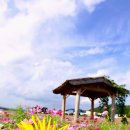 들녘 옷 이미지