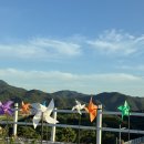 산청농장 | 진주 아이랑 가기좋은 체험 카페 ㅣ마켓진양호 산청 생비량점 수영장, 모래놀이, 동물농장까지