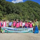 도마치계곡 이미지