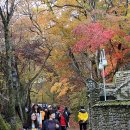 만추 - 여수시 | 만추