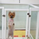미용천재 이미지