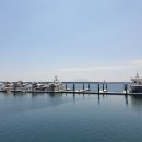 엘림마리나 앤 리조트 티스토리