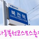 코스모스와 메밀가든 이미지