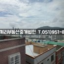 신선동-9 이미지