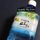광양백운산서울대학술림고로쇠