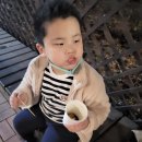(주)인생닭강정 이미지