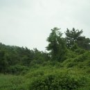 신암면010 이미지