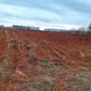 버들농장 이미지