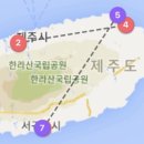 채채슈가 이미지