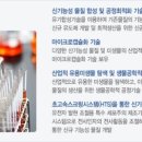 (주)케비젠 네이버블로그